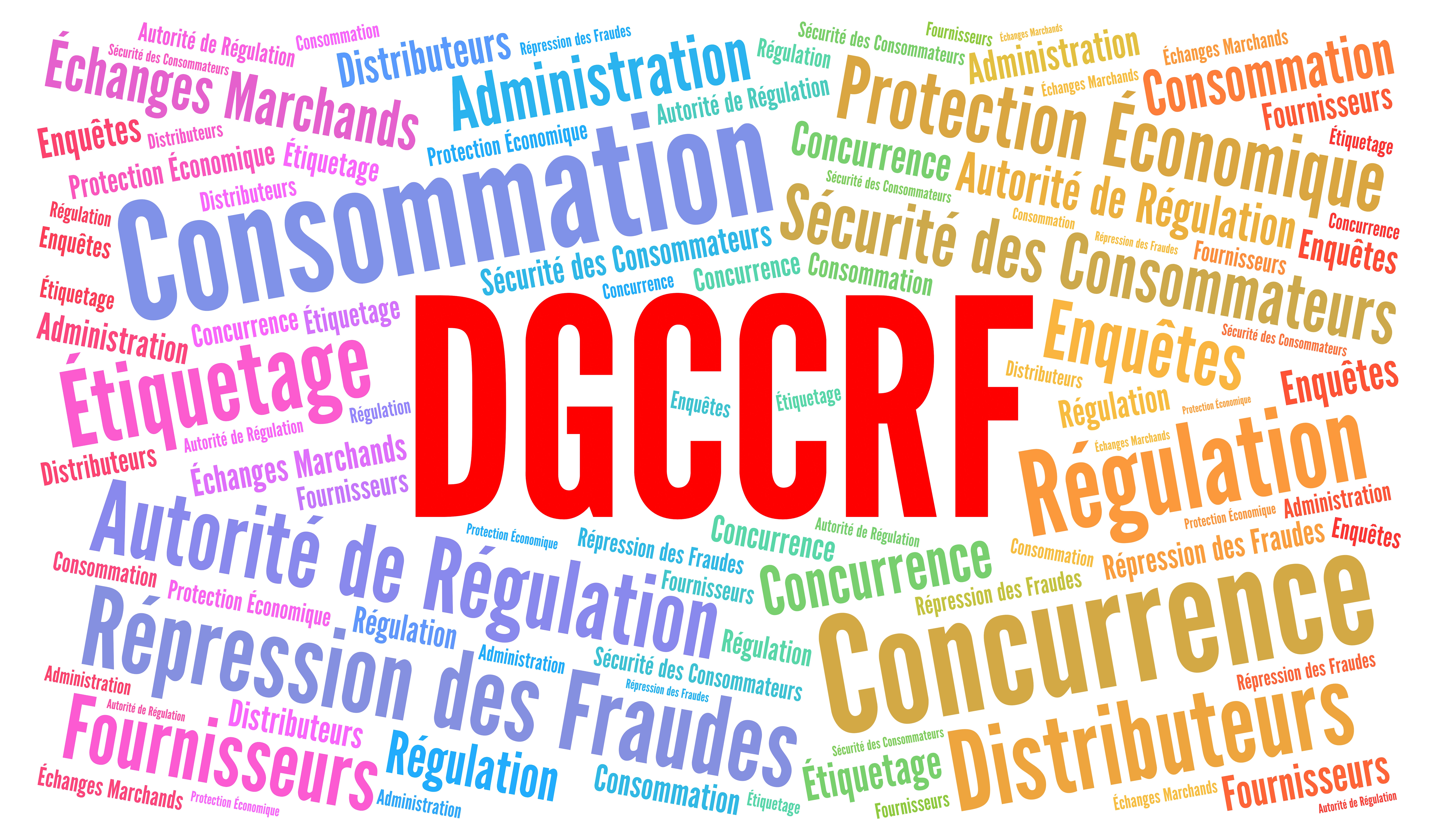 Alerte DGCCRF sur les accessoires de coupe des débroussailleuses dorsales