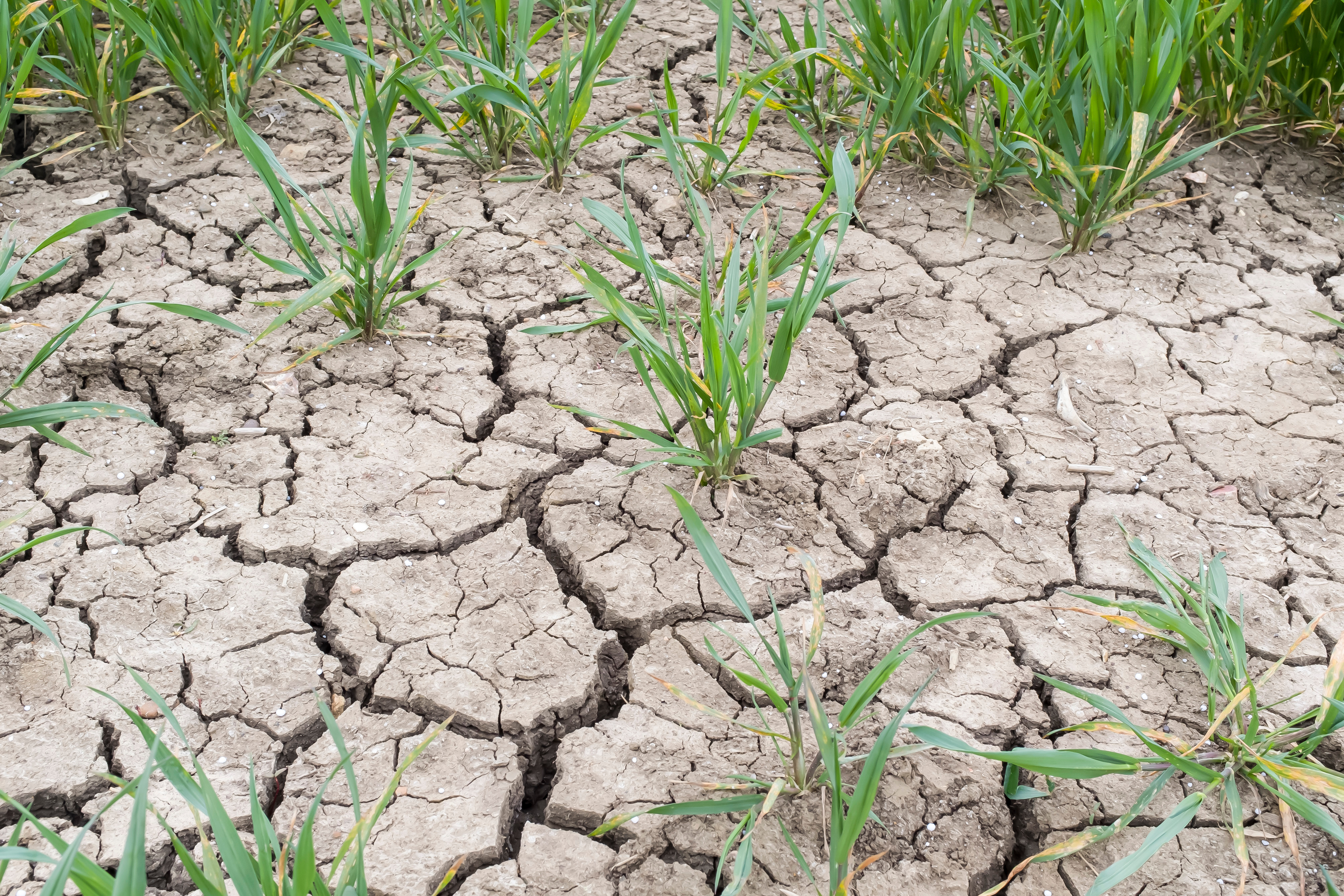 Guide circulaire de mise en oeuvre des mesures de restriction des usages de l’eau en période de sécheresse